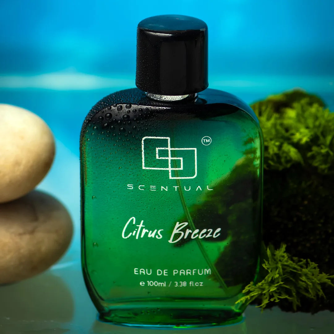 Citrus Breeze